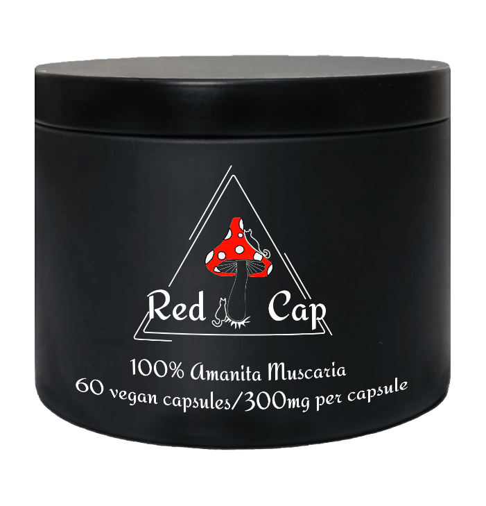 AMANITA MUSCARIA (MUHOMOR) - Premium Mushroom from Red Cap - Just $28! Shop now at Red Cap