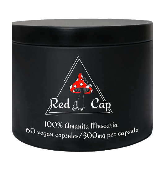 AMANITA MUSCARIA (MUHOMOR) - Premium Mushroom from Red Cap - Just $28! Shop now at Red Cap