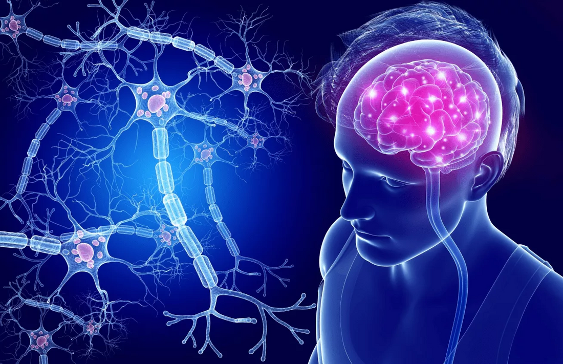 Neurogenesis: How to Preserve Brain Health?