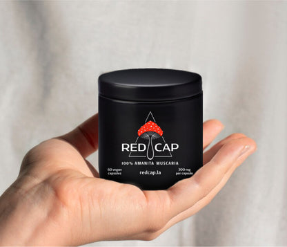 AMANITA MUSCARIA (MUHOMOR) - Premium Mushroom from Red Cap - Just $79.99! Shop now at Red Cap