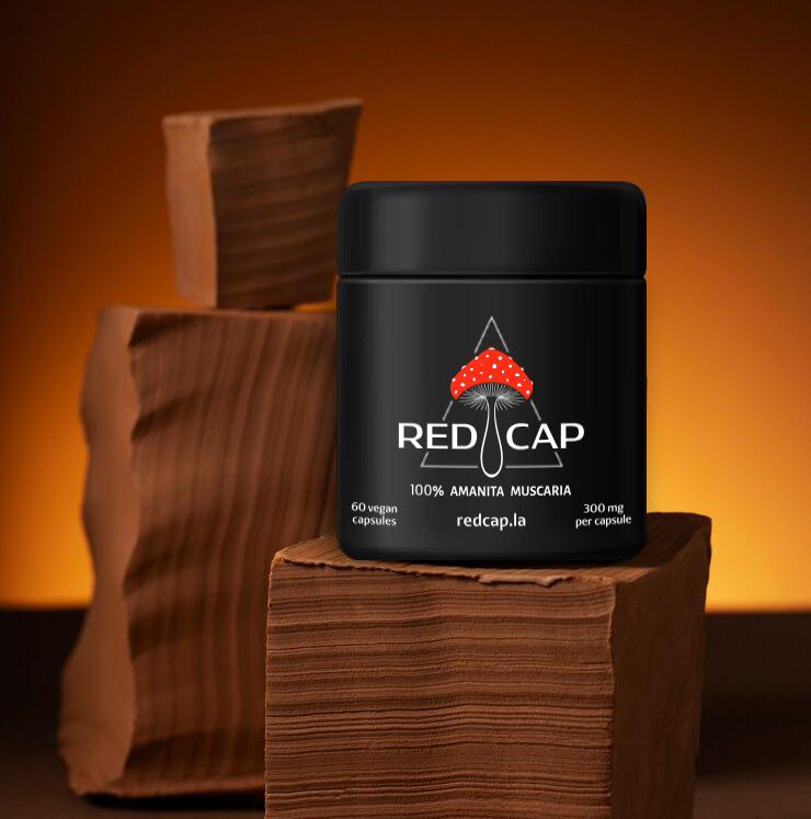 AMANITA MUSCARIA (MUHOMOR) - Premium Mushroom from Red Cap - Just $79.99! Shop now at Red Cap